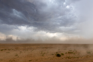 Sandstorm in the desert before a bad thunderstorm. Mangystau region.