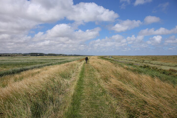 Norfolk Coast Path