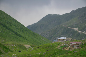 Fototapeta na wymiar Avusor or Avusör is a plateau in the Çamlıhemşin district of Rize province. It is at an altitude of 2700 and houses around 300 houses.