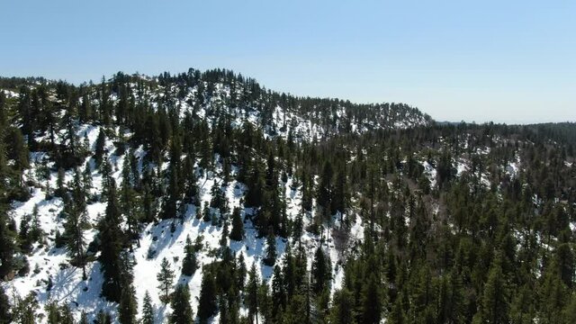 Snow Covered Winter Forest Aerial Shot San Bernardino Mountains Forward California USA