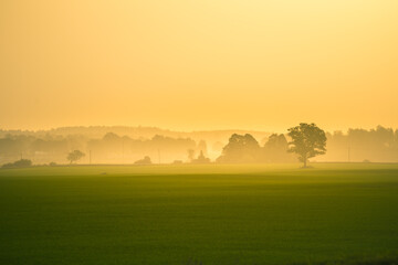 A minimalist landscape of a misty sunrise in summer with a far horizon. Summertime scenery of Northern Europe.