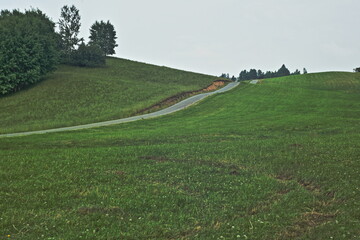 Wavy road in the fields
