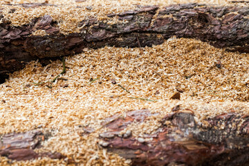 old wooden surface