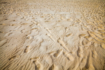yellow light sand on the seashore