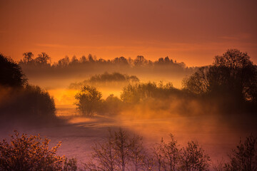 A beautiful landscape of a misty morning during summer. Summertime scenery of Northern Europe.