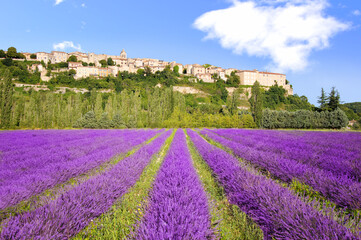 Naklejka na ściany i meble View of Sault, a hilltop village in Provence, France over beautiful rows of lavender