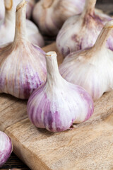 fragrant and ripe vegetables