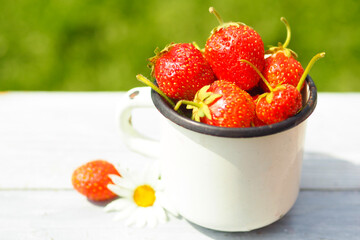 red juicy berry strawberry in a white metal mug on a background of green sunny grass..