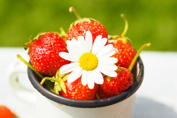 red juicy berry strawberry in a white metal mug on a background of green sunny grass..