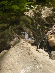 hiking in the mountains