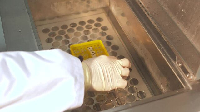 Laboratorio de investigaci&oacute;n. Pipetas