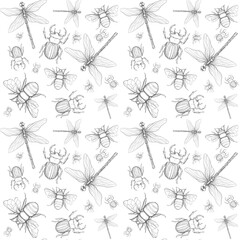 endless pattern of dragonfly, beetle and bee on white background