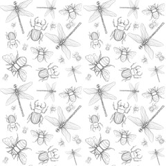 endless pattern of dragonfly, beetle and bee on white background