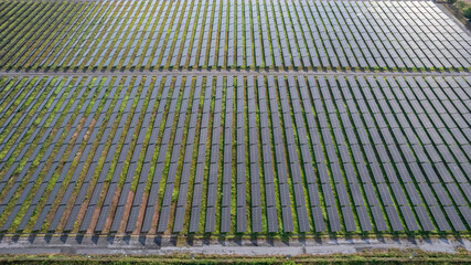 Solar power farm from drone view,Green energy technology