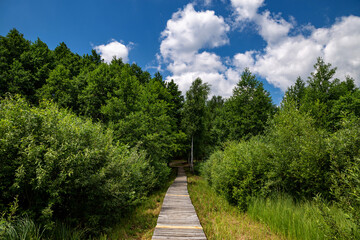Svitiaz Lake, Shatsk National Natural Park. Wooden path to the forest.