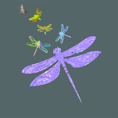 dragonfly animal lover art idea art sport Design vector illustration design vector illustration for use in design and print poster canvas