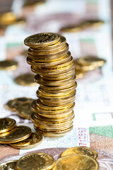 cash or Polish money