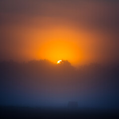 A sun disc shining through the mist during the summer sunrise. Summertime scenery of Northern Europe.