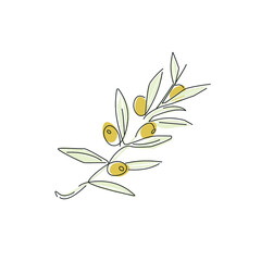 Olive branch linear style. Olive fruit on a white background. Contour lines of olives