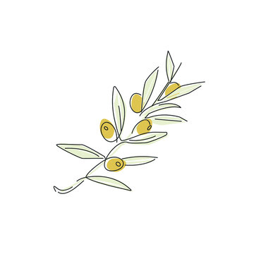 Olive branch linear style. Olive fruit on a white background. Contour lines of olives
