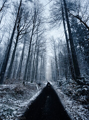 Naklejka premium Winterway