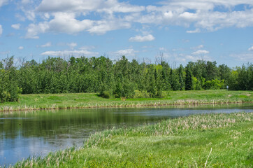 Pylypow Wetlands in the Summer Season