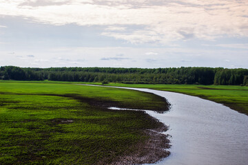 Fototapeta na wymiar Beautiful landscape of the taiga. A big river in the forest