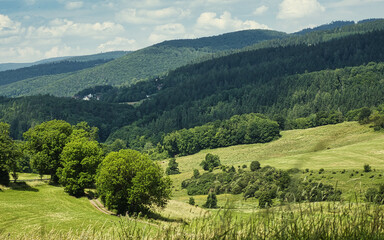 Südwestlicher Thüringer Wald vom Inselsberg.