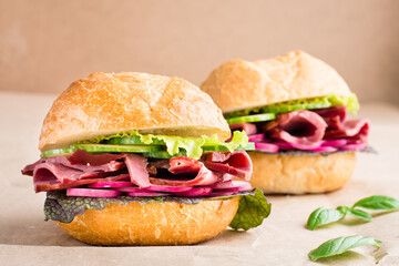 Ready-to-eat hamburger with pastrami, cucumber, radish and herb on craft paper. American fast food. Close-up