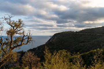 Obraz premium Mediterranean coast seen from the cliffs