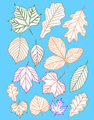 Autumn leaves are painted black on a yellow background. White with color outline. Vector