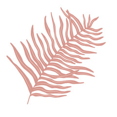 Palm leaf on a white background. Vector graphics. Hand drawn