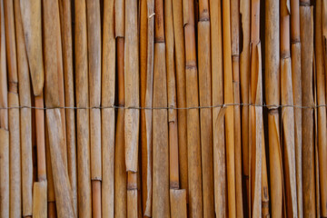 Close-up on a bamboo fence, tree structure.