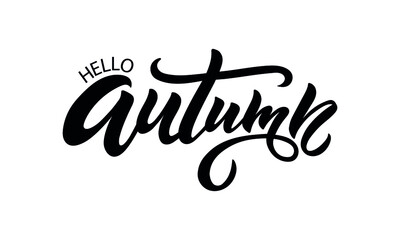 Hello Autumn handwritten text isolated on white background. Vector illustration as poster, postcard, greeting card, invitation. Modern brush ink calligraphy, hand lettering
