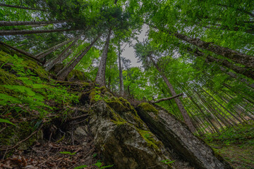 Wanderung von Hammersbach &uuml;ber die H&ouml;llentalklamm auf den H&ouml;llentalanger und &uuml;ber den Stangensteig zur&uuml;ck.