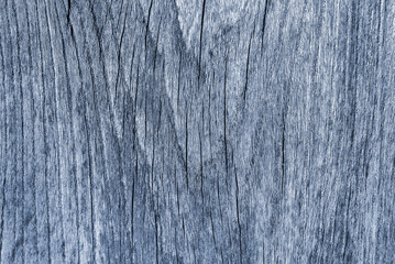 Fototapeta premium Grey natural wood background close-up