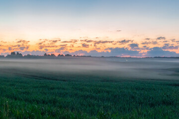 Obraz premium sunrise over the field