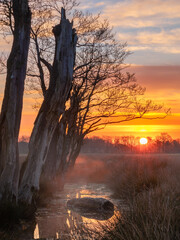 Sunrise in the moor, Orange sky and blue during sunrise nice silhouets of trees and branches mist above water