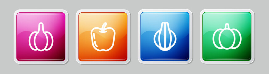 Set line Garlic, Apple, Onion and Pumpkin. Colorful square button. Vector