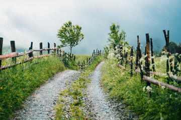 Fototapeta na wymiar landscape with fence and road on foggy mountain