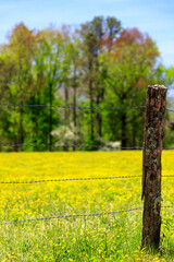 Country fence
