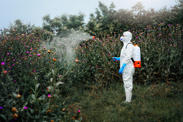 Man in protective workwear spraying herbicide on thistle plants