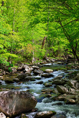 Mountain stream