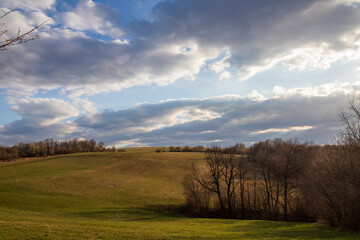 Obraz premium landscape with trees and sky
