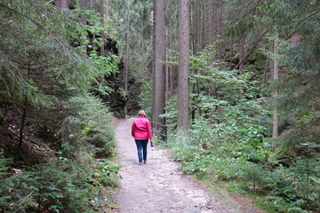Frau auf dem Malerweg im Uttewalder Grund
