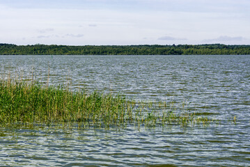 Zierker See in Neustrelitz