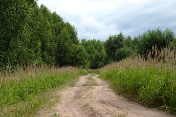 Fototapeta na wymiar A dirt road on the edge of the forest