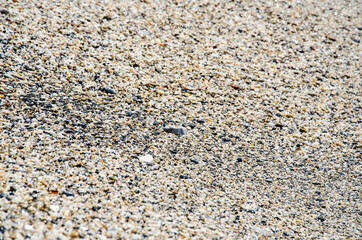 Sea stones of various sizes cover the seaside. Selective focus multi-colored pebbles on the seashore. Pebble texture. Natural background concept. Surface of the rocky beach.