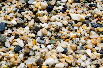 Selective focus multi-colored pebbles on the seashore. Sea stones of various sizes cover the seaside. Pebble texture. Natural background concept. Surface of the rocky beach.
