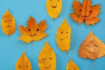 autumn  yellow leaves on a blue, fall background. - obrazy, fototapety, plakaty